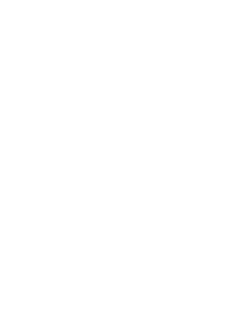 pr_icon_flame