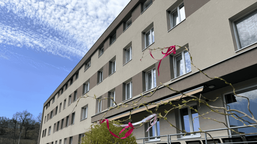 vizovice - laundry - primus